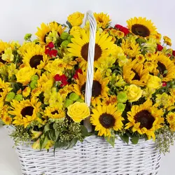 سبد گل هدیه آفتابگردان کد 3330
