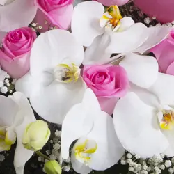 باکس گل لاکچری و عروسک - کد 3290