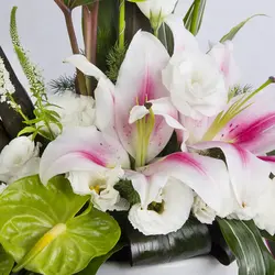 گلدان گل کوچک آنتوریوم کد 1450