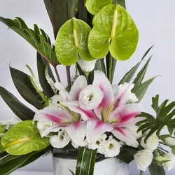 گلدان گل کوچک آنتوریوم کد 1450