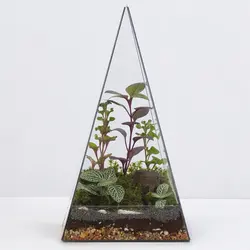 باغ شیشه ای تراریوم کوچک (فیتونیا)- کد 4290