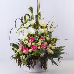 باکس‌ گل رز و آنتوریوم کد 2360