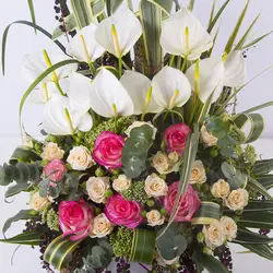 باکس‌ گل رز و آنتوریوم کد 2360