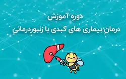 درمان بیماری های کبدی با زنبوردرمانی - مرکز توسعه زنبور‌درمانی ایرانیان