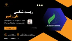 زیست شناسی نان زنبورعسل - مرکز توسعه زنبور‌درمانی ایرانیان