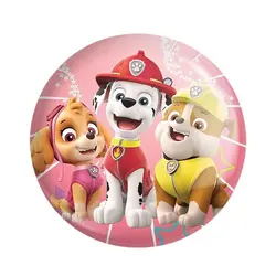 پیکسل دایره‌ای سنجاقی پاو پاترول