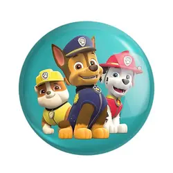 پیکسل دایره‌ای سنجاقی پاو پاترول