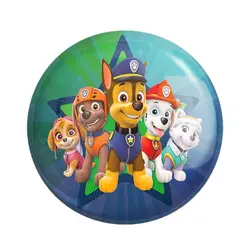 پیکسل سنجاقی پاوپاترول