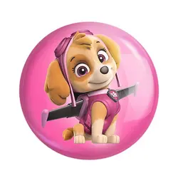 پیکسل سنجاقی پاو پاترول طرح اسکای