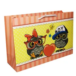 پاکت هدیه طرح جغد