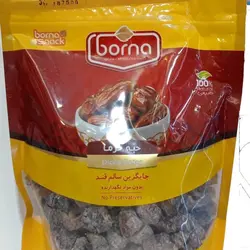 خرما پيارم « برنا » 500 گرمي
