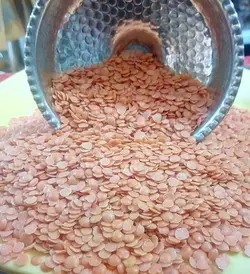 عدس اردبيل « زیتون » كيلويي