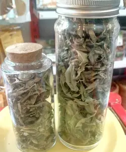 گلاب سنگين « صنوبر » 800 گرمي