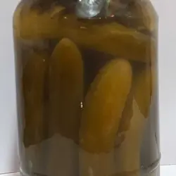 گلپر قلم « زیتون » كيلويي