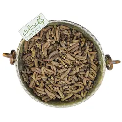 شکوفه فندوق