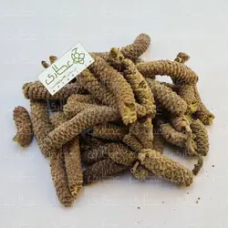 شکوفه فندوق