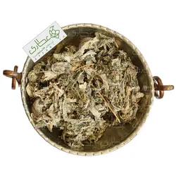 کنگر فرنگی خوراکی یا آرتیشو