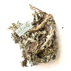 کنگر فرنگی خوراکی یا آرتیشو