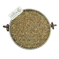 شاهدانه