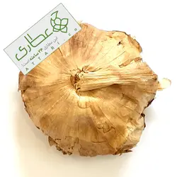 سیر سیاه اعلاء