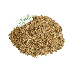تخم شوید خارجی اعلا
