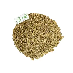 زیره سبز