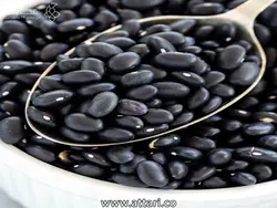لوبیا سیاه