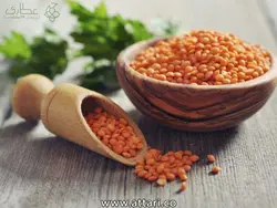 دال عدس
