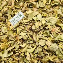 آویشن شیرازی اعلاء