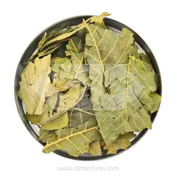 برگ گردو