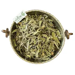 گیاه مریم گلی اعلاء