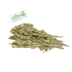 گیاه مریم گلی اعلاء