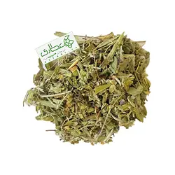 گیاه مریم گلی اعلاء