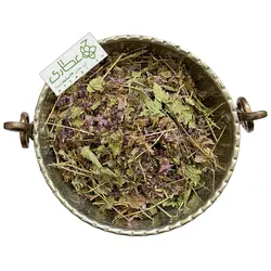 گیاه بادرنجبویه