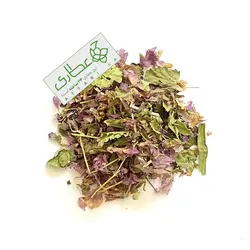 گیاه بادرنجبویه