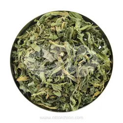 گیاه غازیاغی