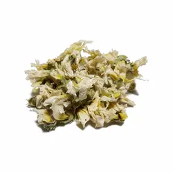 گل ختمی سفید