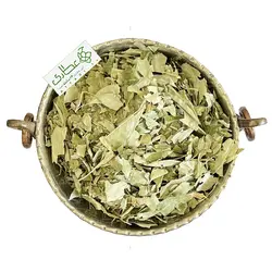 برگ اکالیپتوس