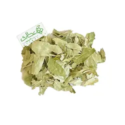 برگ اکالیپتوس