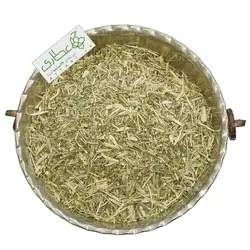 گیاه خارشتر