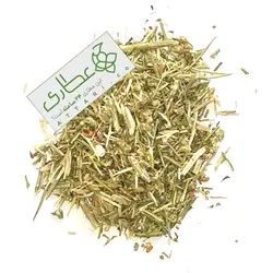 گیاه خارشتر