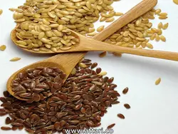 تخم گیاه کتان