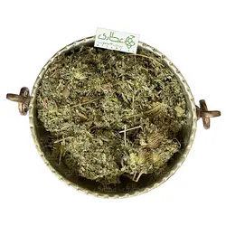 برگ گیاه بابا آدم