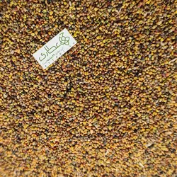 گیاه شبدر قرمز (تخم شبدر قرمز)