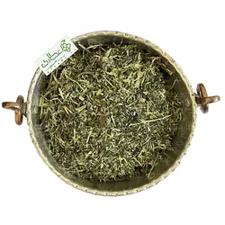 برگ گزنه
