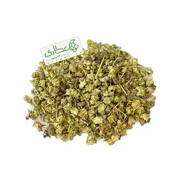 گیاه خارخاسک