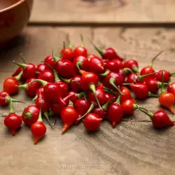 بذر فلفل قلبی