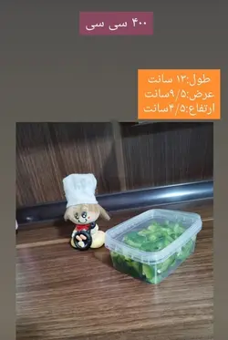 ظرف فریزری۴۰۰سی سی