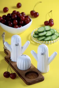 ست نمکدان و جا خلالی مدل کاکتوس