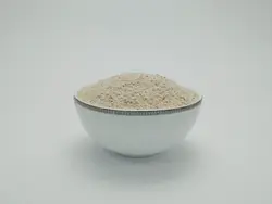 پودر سیر 1000 گرم